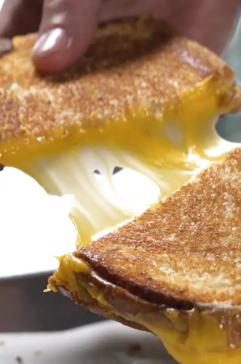 Grilled Cheese Sandwich or Toastie